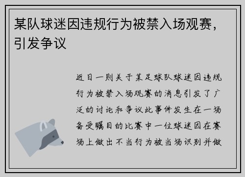 某队球迷因违规行为被禁入场观赛，引发争议