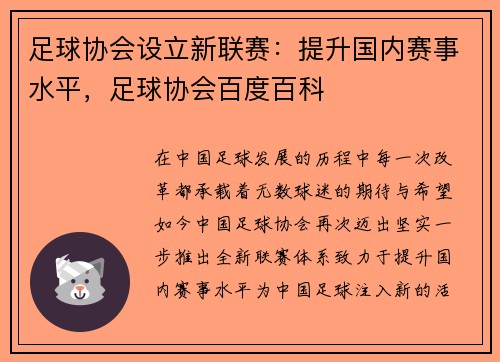 足球协会设立新联赛：提升国内赛事水平，足球协会百度百科